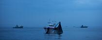 Pêche a la sardines au petit matin © Philip Plisson / Plisson La Trinité / AA17968 - Nos reportages photos - Astre