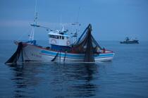 Pêche a la sardines au petit matin © Philip Plisson / Plisson La Trinité / AA17969 - Nos reportages photos - Pêche à la sardine
