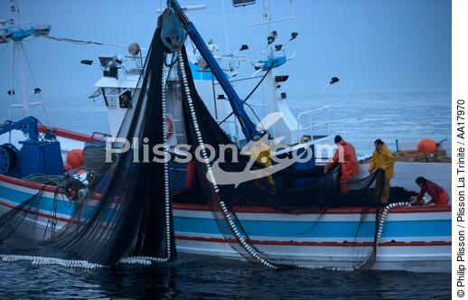 Pêche a la sardines au petit matin - © Philip Plisson / Plisson La Trinité / AA17970 - Nos reportages photos - Espagne
