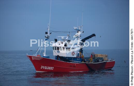 Pêche a la sardines au petit matin - © Philip Plisson / Plisson La Trinité / AA17971 - Nos reportages photos - Mer calme