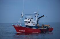 Pêche a la sardines au petit matin © Philip Plisson / Plisson La Trinité / AA17971 - Nos reportages photos - Astre