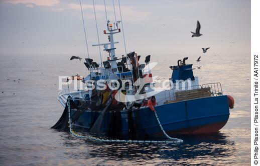 Pêche a la sardines au petit matin - © Philip Plisson / Plisson La Trinité / AA17972 - Nos reportages photos - Mer calme