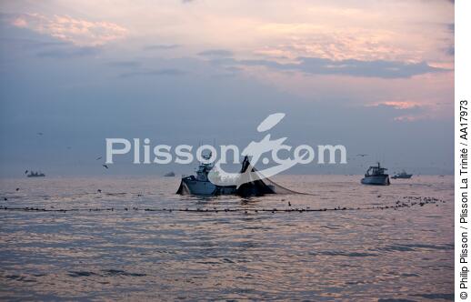 Pêche a la sardines au petit matin - © Philip Plisson / Plisson La Trinité / AA17973 - Nos reportages photos - Pêche à la sardine