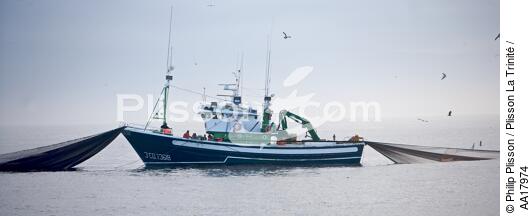 Pêche a la sardines au petit matin - © Philip Plisson / Plisson La Trinité / AA17974 - Nos reportages photos - Pêche à la senne