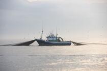 Pêche a la sardines au petit matin © Philip Plisson / Plisson La Trinité / AA17975 - Nos reportages photos - Astre