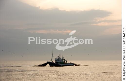 Pêche a la sardines au petit matin - © Philip Plisson / Plisson La Trinité / AA17976 - Nos reportages photos - Espagne
