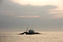 Pêche a la sardines au petit matin © Philip Plisson / Plisson La Trinité / AA17976 - Nos reportages photos - Pêche à la sardine