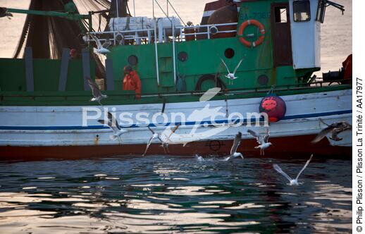 Sardines fishing in Galicia - © Philip Plisson / Plisson La Trinité / AA17977 - Photo Galleries - Fisherman