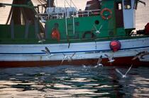 Pêche a la sardines au petit matin © Philip Plisson / Plisson La Trinité / AA17977 - Nos reportages photos - Pêche à la sardine
