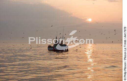 Pêche a la sardines au petit matin - © Philip Plisson / Plisson La Trinité / AA17978 - Nos reportages photos - Pêche à la sardine