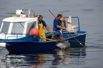 Clam fishing in Vigo © Philip Plisson / Plisson La Trinité / AA17987 - Photo Galleries - Fisherman