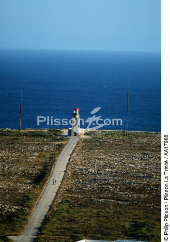 Sagres, Algarve, Portugal - © Philip Plisson / Plisson La Trinité / AA17988 - Photo Galleries - Portuguese Lighthouses