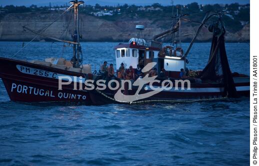 Pêche a la Sardines sur la Côte d'Algarve - © Philip Plisson / Plisson La Trinité / AA18001 - Nos reportages photos - Site [Por]