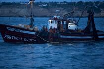 Pêche a la Sardines sur la Côte d'Algarve © Philip Plisson / Plisson La Trinité / AA18001 - Nos reportages photos - Pêche à la sardine