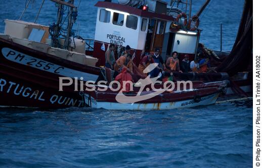 Sardine fishing on the Algavre coast - © Philip Plisson / Plisson La Trinité / AA18002 - Photo Galleries - Fishing nets