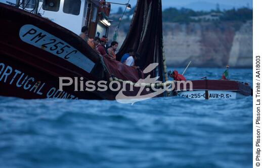 Pêche a la Sardines sur la Côte d'Algarve - © Philip Plisson / Plisson La Trinité / AA18003 - Nos reportages photos - Site [Por]