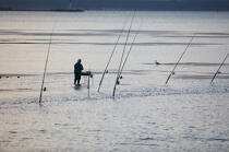 Pêche a la ligne dans le chenal de Port Napoléon © Philip Plisson / Plisson La Trinité / AA18063 - Nos reportages photos - Camargue