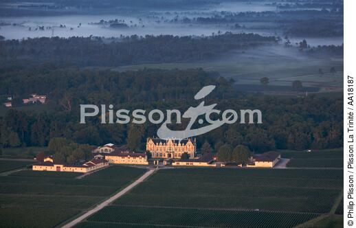 Château Cantenac Brown, grand cru classé de Margaux. - © Philip Plisson / Plisson La Trinité / AA18187 - Nos reportages photos - Flore