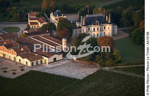 Château Palmer, grand cru classé de Margaux. - © Philip Plisson / Plisson La Trinité / AA18188 - Nos reportages photos - Flore
