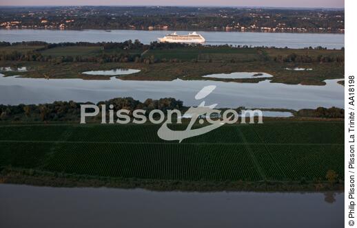 Le paquebot Regatta sur la Garonne. - © Philip Plisson / Plisson La Trinité / AA18198 - Nos reportages photos - Fleuve