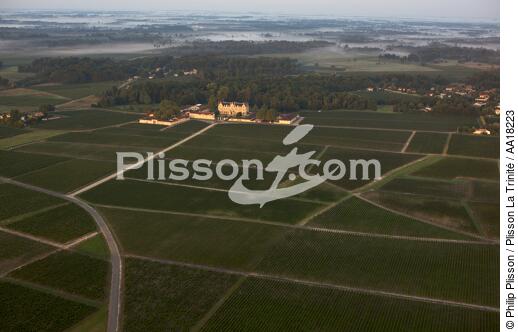Château Cantenac Brown, grand cru classé de Margaux. - © Philip Plisson / Plisson La Trinité / AA18223 - Nos reportages photos - Vignoble