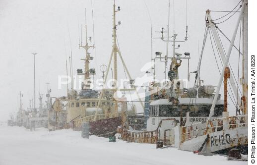 Fishing vessels in Westman islands in Iceland - © Philip Plisson / Plisson La Trinité / AA18229 - Photo Galleries - Snow