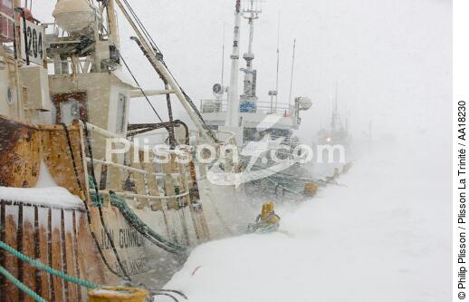Fishing vessels in Westman islands in Iceland - © Philip Plisson / Plisson La Trinité / AA18230 - Photo Galleries - Snow