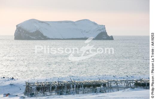 Les îles Westman en Islande. - © Philip Plisson / Plisson La Trinité / AA18253 - Nos reportages photos - Neige