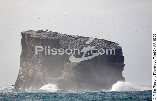 Les îles Westman en Islande. - © Philip Plisson / Plisson La Trinité / AA18309 - Nos reportages photos - Islande