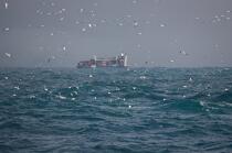 Containership, Westman islands. © Philip Plisson / Plisson La Trinité / AA18310 - Photo Galleries - CMA CGM Marco Polo
