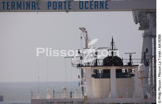 Portiques dans le port du Havre. - © Philip Plisson / Plisson La Trinité / AA18368 - Nos reportages photos - Porte-conteneurs, la démesure