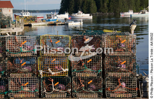 Port Clyde - © Philip Plisson / Plisson La Trinité / AA18432 - Photo Galleries - Town [Maine]