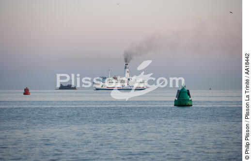 Plymouth - © Philip Plisson / Plisson La Trinité / AA18442 - Photo Galleries - Ferry boat