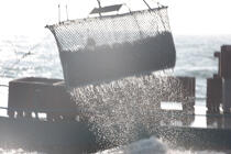 Les dragues sont manoeuvrées au dessus des conteneurs. © Philip Plisson / Plisson La Trinité / AA18469 - Nos reportages photos - Quiberon [Baie de]