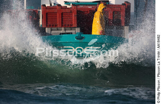 25 noeuds de vent. La barge est chahutée par la houle. - © Philip Plisson / Pêcheur d’Images / AA18482 - Nos reportages photos - L'ostréiculture