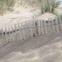 Dans les dunes du Cotentin. © Philip Plisson / Plisson La Trinité / AA18501 - Nos reportages photos - Format carré