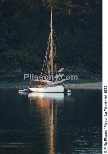 Lady Maud in the gulf of Morbihan. - © Philip Plisson / Plisson La Trinité / AA18552 - Photo Galleries - River [56]