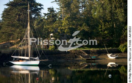 Lady Maud in the gulf of Morbihan. - © Philip Plisson / Plisson La Trinité / AA18553 - Photo Galleries - Auray [The River of]