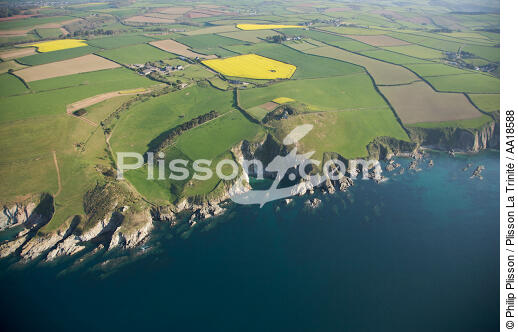 On the Devon coast - © Philip Plisson / Plisson La Trinité / AA18588 - Photo Galleries - Interior landscape