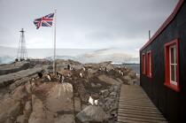 Port Lockroy in Antarctica. © Philip Plisson / Plisson La Trinité / AA18619 - Photo Galleries - Flag