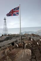 Port Lockroy en Antarctique. © Philip Plisson / Plisson La Trinité / AA18621 - Nos reportages photos - Faune