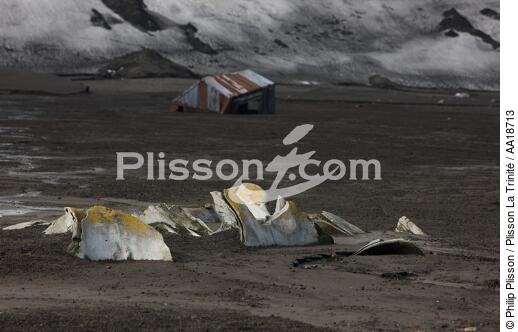 L'île de la déception en Antarctique. - © Philip Plisson / Plisson La Trinité / AA18713 - Nos reportages photos - Shetland du Sud