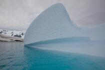 Antarctique. © Philip Plisson / Plisson La Trinité / AA18749 - Nos reportages photos - Antarctique