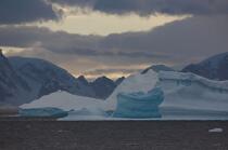 Antarctique. © Philip Plisson / Plisson La Trinité / AA18751 - Nos reportages photos - Paysage intérieur