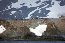 Antarctique. © Philip Plisson / Plisson La Trinité / AA18754 - Nos reportages photos - Paysage intérieur
