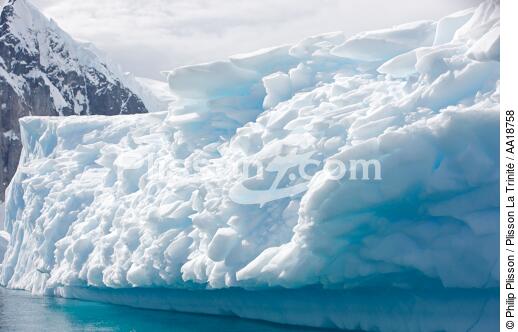 Antarctique. - © Philip Plisson / Plisson La Trinité / AA18758 - Nos reportages photos - Glace