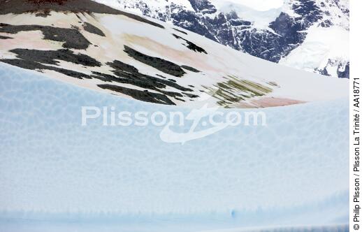 Antarctique. - © Philip Plisson / Plisson La Trinité / AA18771 - Nos reportages photos - Paysage intérieur