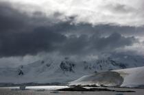 Antarctique. © Philip Plisson / Pêcheur d’Images / AA18778 - Nos reportages photos - Antarctique