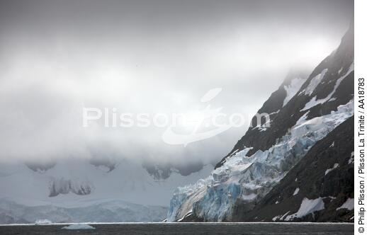 Antarctique. - © Philip Plisson / Plisson La Trinité / AA18783 - Nos reportages photos - Antarctique