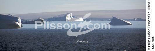 Antarctique. - © Philip Plisson / Plisson La Trinité / AA18904 - Nos reportages photos - Glace